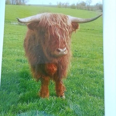 Ferienwohnung Elisa Staig  Buitenkant foto